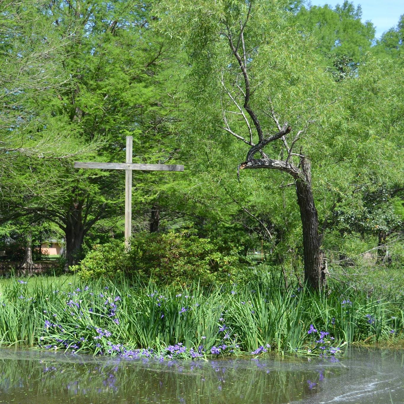 Wooden cross beside the pond at Acadian Baptist Center, surrounded by irises