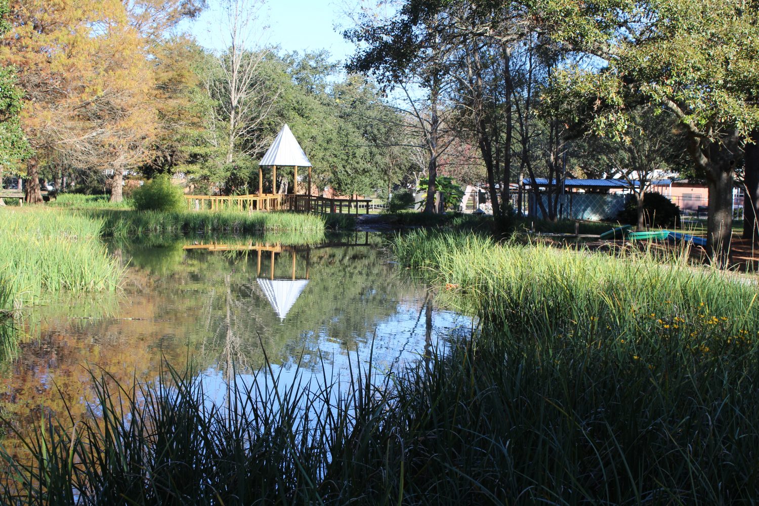 The gazebo reflected in the pond at Acadian Baptist Center