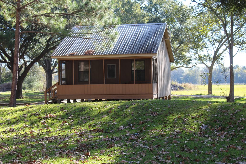 Cabin in the trees